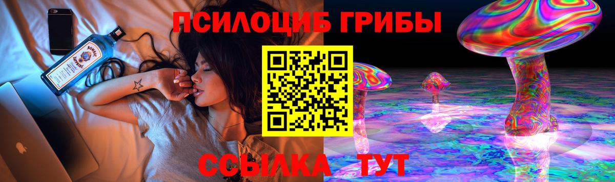 Галлюциногенные грибы Psilocybine cubensis  Вход с VPN  Джанкой  Псилоцибиновые грибы мицелий 
